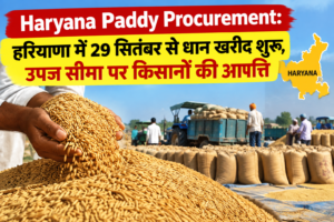 Haryana Paddy Procurement: हरियाणा में 29 सितंबर से धान खरीद शुरू